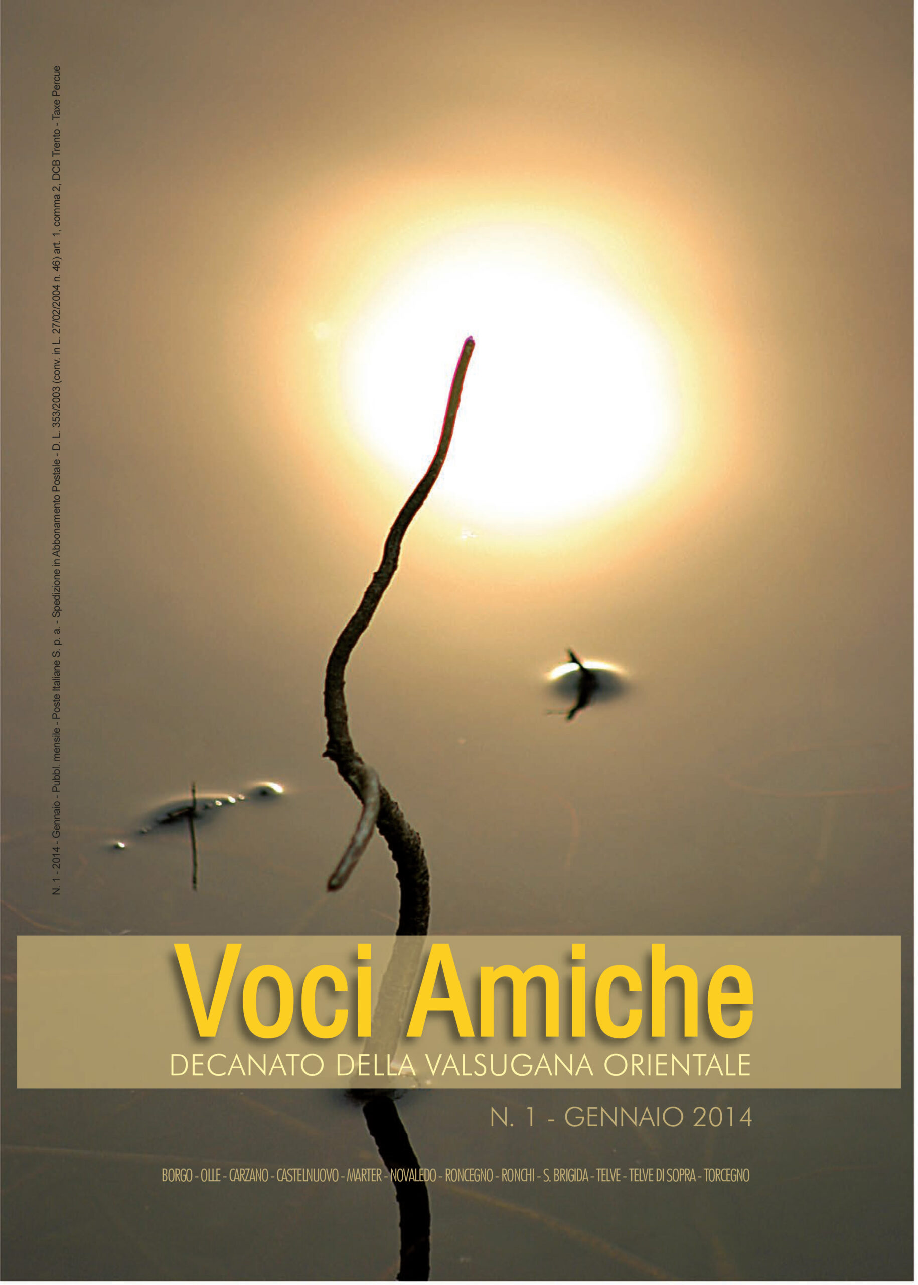 Voci Amiche – Gennaio 2014