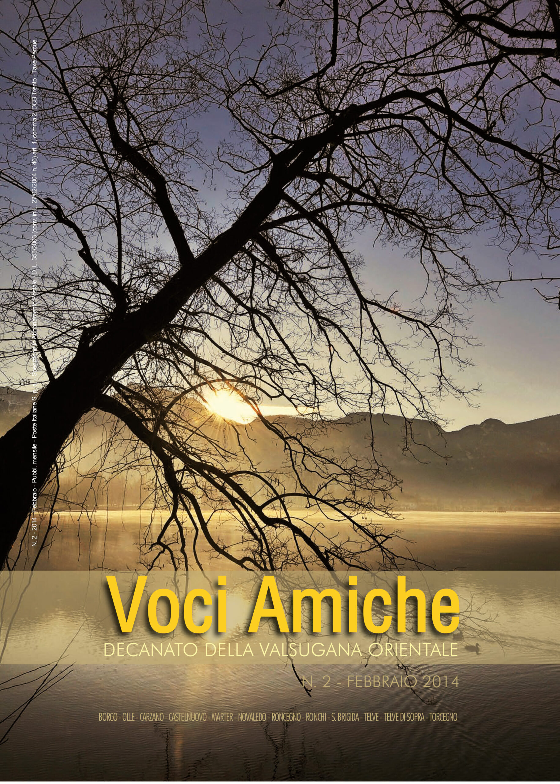 Voci Amiche – Febbraio 2014