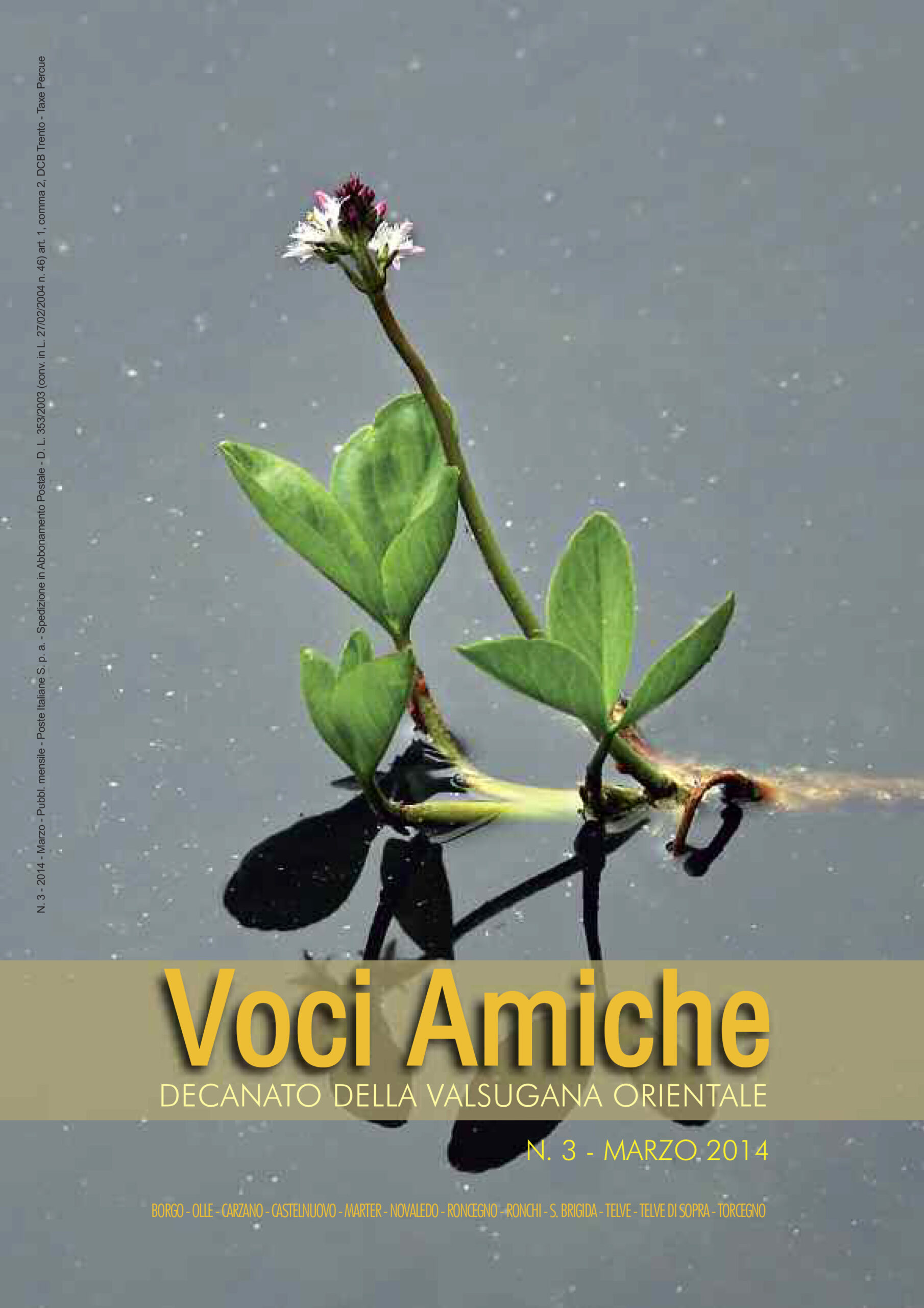 Voci Amiche – Marzo 2014