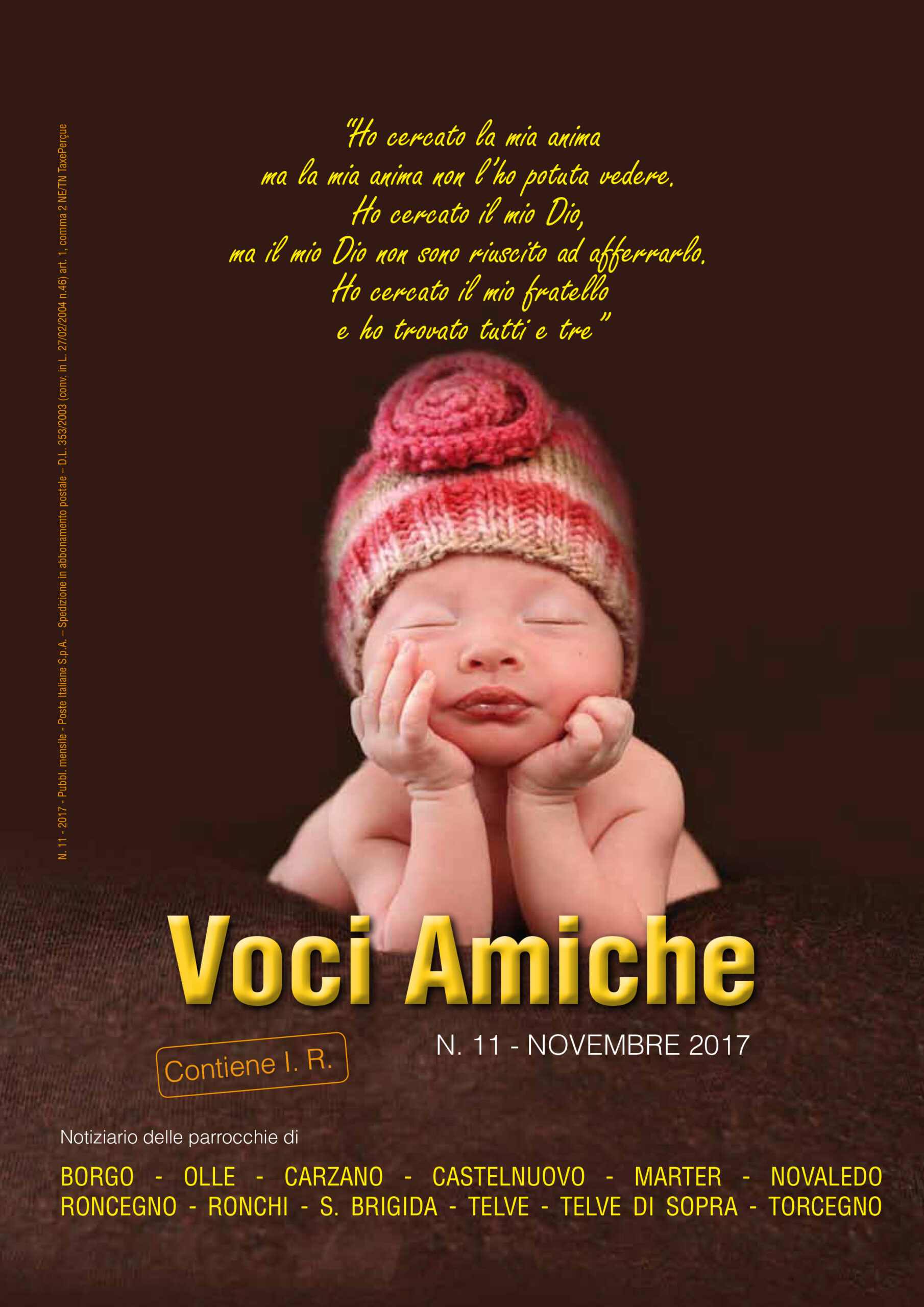 Voci Amiche – Novembre 2017