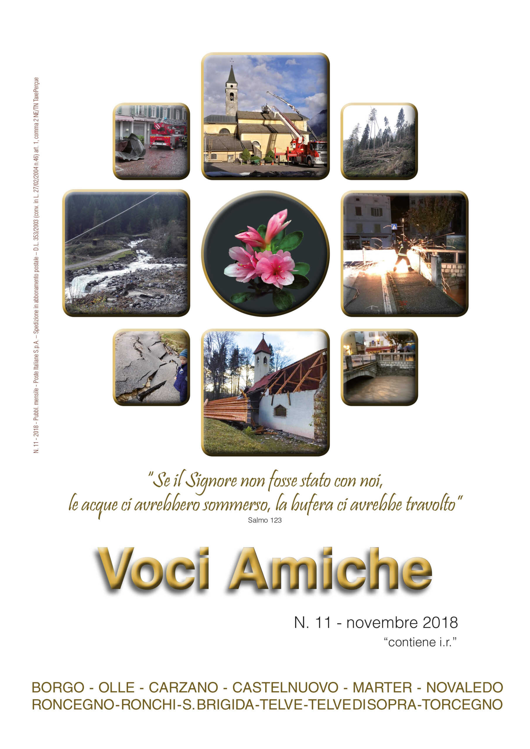 Voci Amiche – Novembre 2018